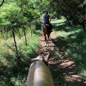 Meet your Posher, Heather